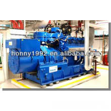 Honny 400kW-100MW Marke MWM Bauernhof Biogas Generator